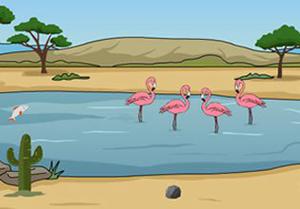 play Desert Vulture Escape