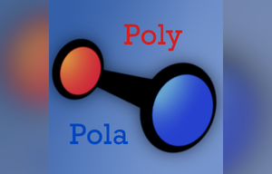 play Polypola