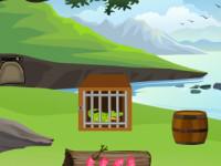 play River Crocodile Escape