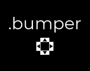 Bumper