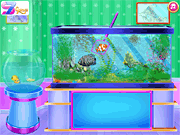 Aquarium And Fish Care