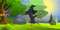 play G2M Rock Forest Escape