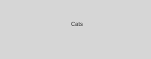 play Cats 2020