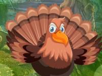 play Modest Turkey Escape