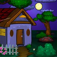 play Games4Escape-Forest-Cottage-Escape