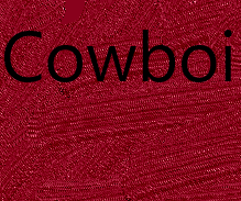 play Cowboi