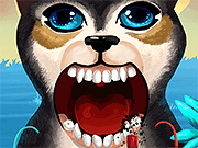 play Become An Animal Dentist