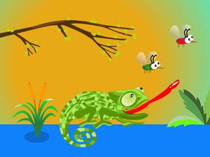 play Hungry Chameleon