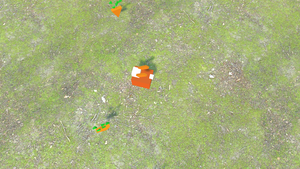 play Rabbit-And-Carrots