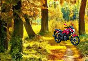 play Green Forest Escape (Fun Escape Games