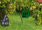 play Grove Fruit Forest Escape