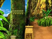 play Jungle Forest-2