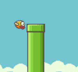 play Flappy Poko