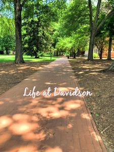play Life At Davidson