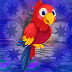 Macaw Parrot Escape