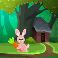 play Games2Mad Escape From Mountain Village