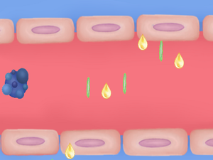play Cancer Cell