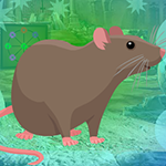 Rodent Brown Rat Escape