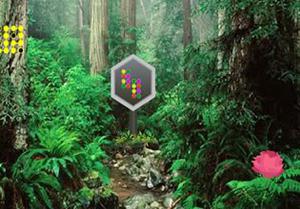 play Parky Forest Escape