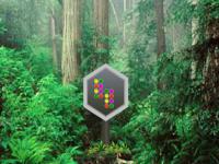 play Parky Forest Escape
