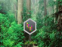 play Parky Forest Escape