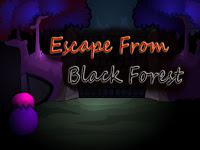 play Top10 Escape From Black Forest