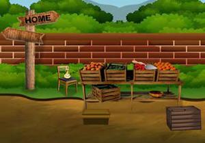 play Escape From Park House