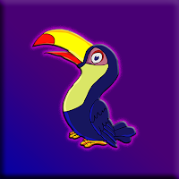 G2J Baby Toucan Escape