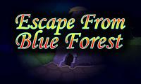 Top10 Escape From Blue Forest