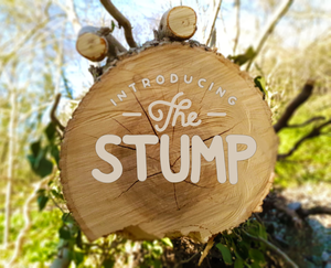 play The Stump