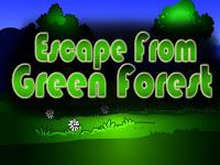 Top10 Escape From Green Forest