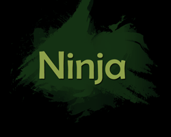 play Ninja
