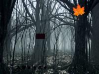 play Dark Forest