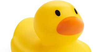 play Ducky