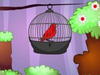 play Red Bird Escape