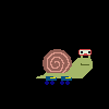 Sammy Da Snail