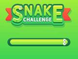 play Snake Challenge