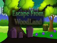 play Top10 Escape From Woodland