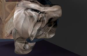 play Corpus Pulveris