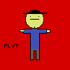 play Fly?