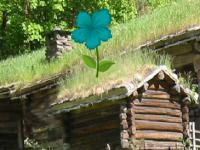 Green Roof House Escape