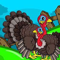 play G2J Turkey Family Rescue