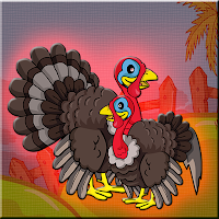 G2J Turkey Family Rescue