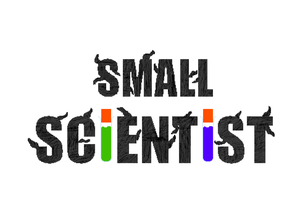 play Small Scientist