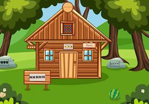 play Kitty Rescue