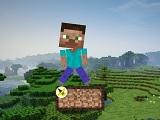 play Minecraft Survival