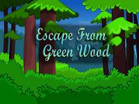 play Top10 Escape From Green Wood
