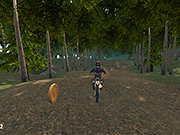 play Dirt Bike Enduro Racing