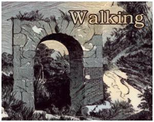 play Walking
