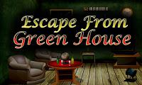 play Top10 Escape From Green House